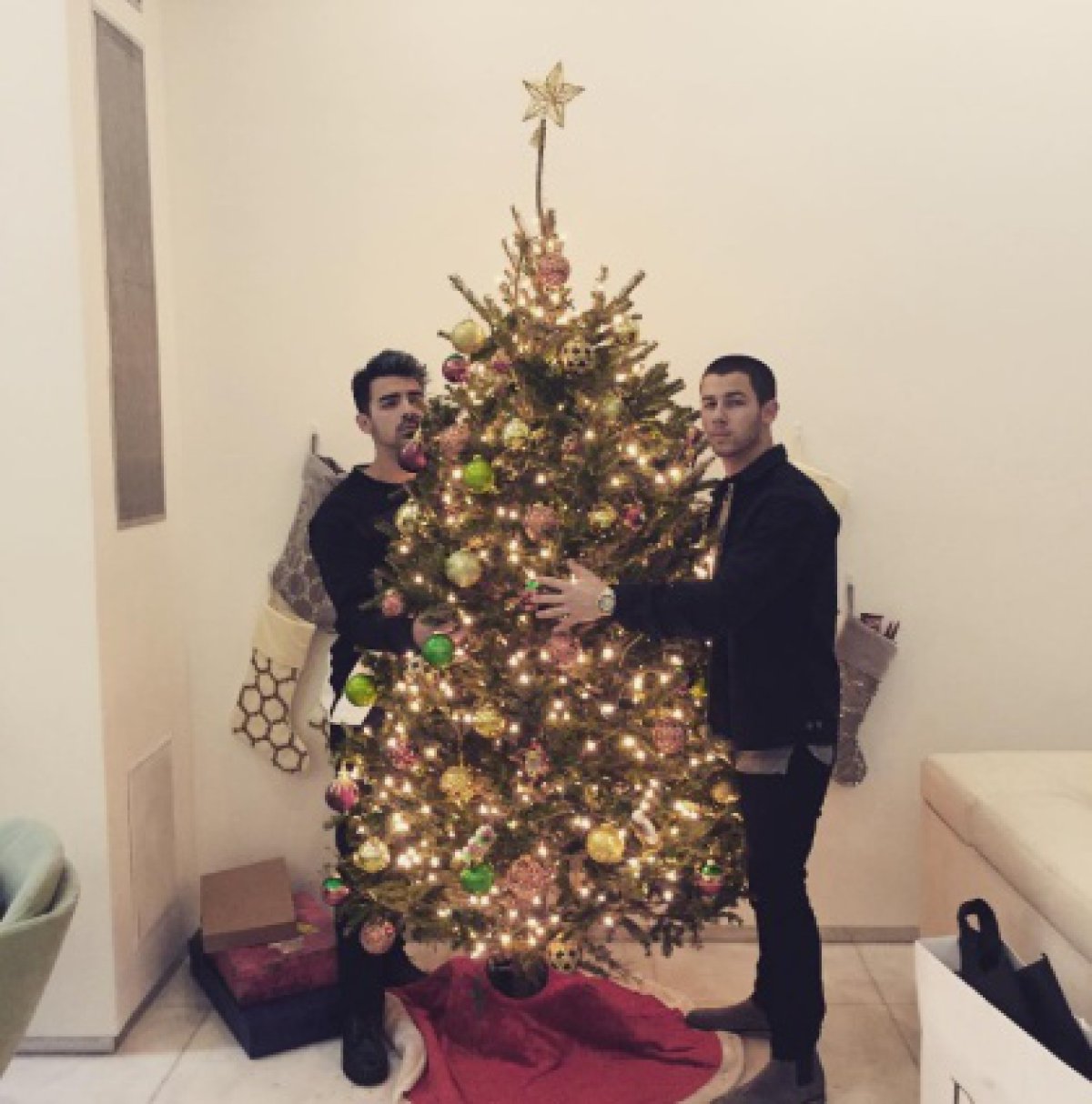 Los Jonas abrazan árboles de Navidad